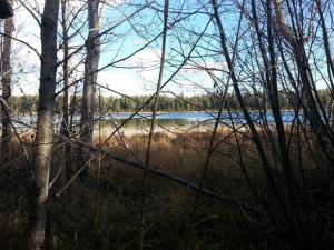 MLS #NST7145738 image #0