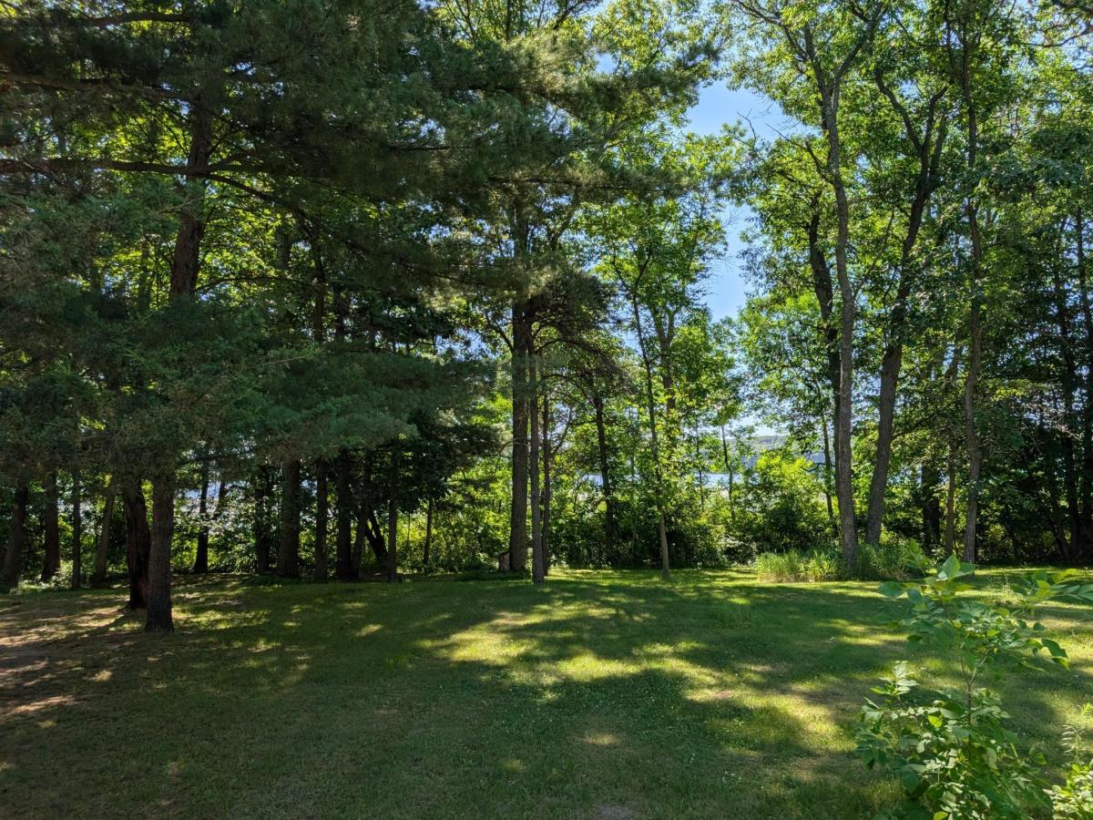 MLS #NST7146019 image #0