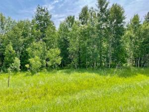 MLS #NST7149221 image #0
