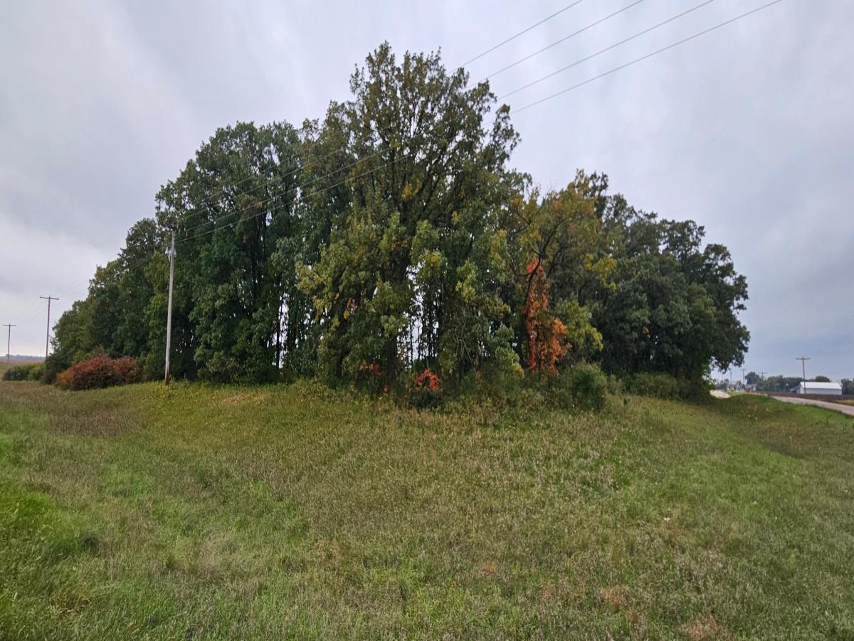 MLS #NST7151947 image #0