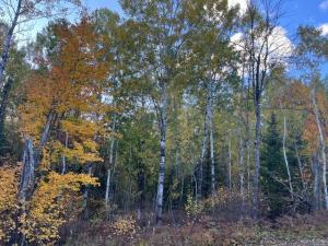 MLS #NST7153428 image #0