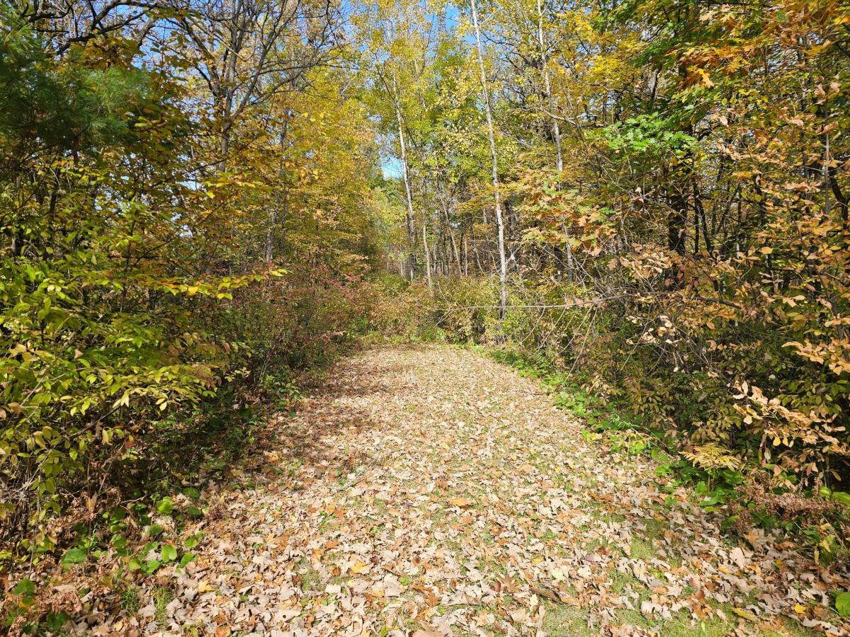 MLS #NST7153827 image #0