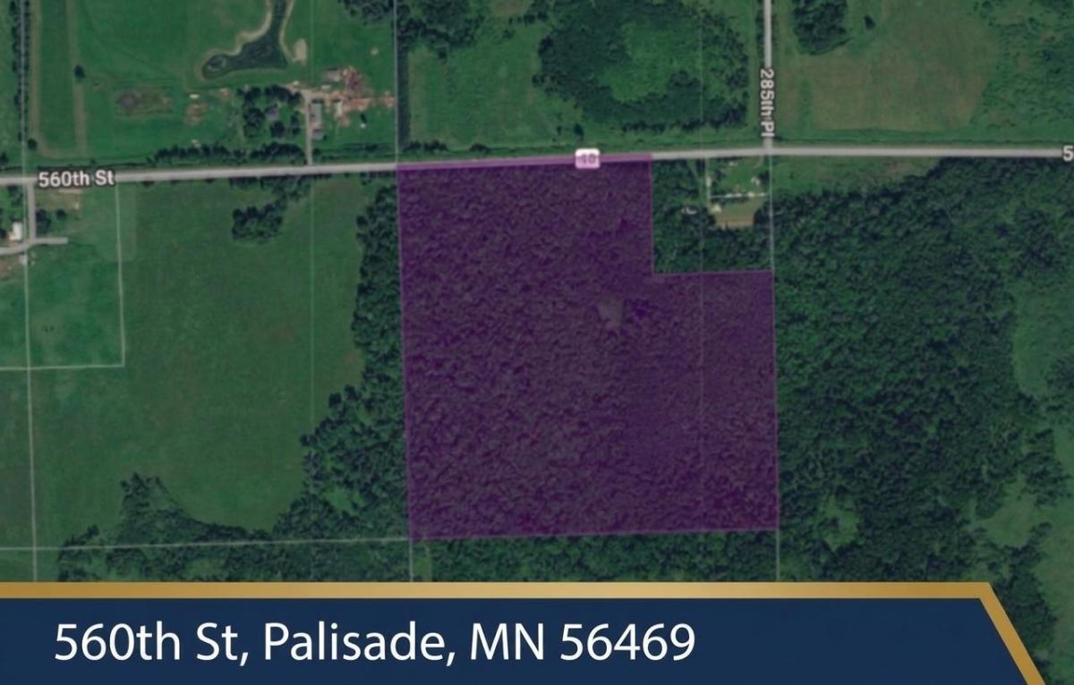 MLS #NST7156126 image #0
