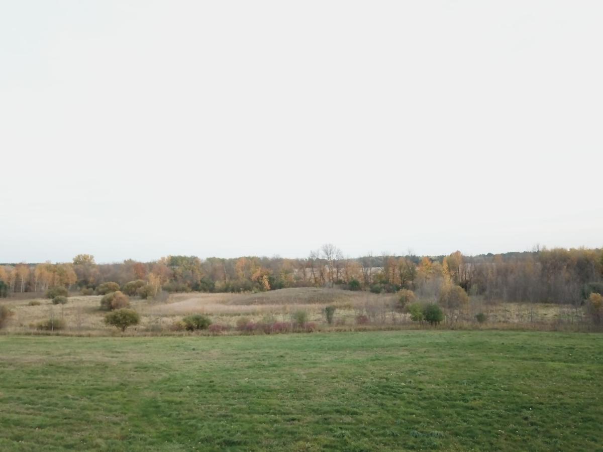 MLS #NST7158205 image #0