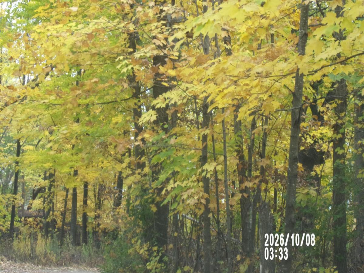 MLS #NST7158334 image #0