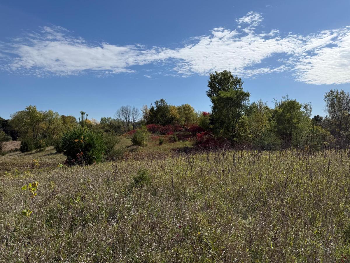 MLS #NST7158893 image #0