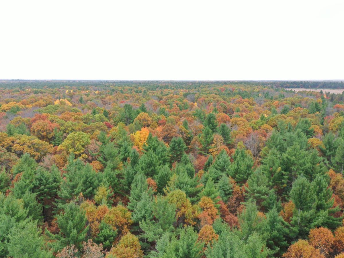 MLS #NST7158975 image #0