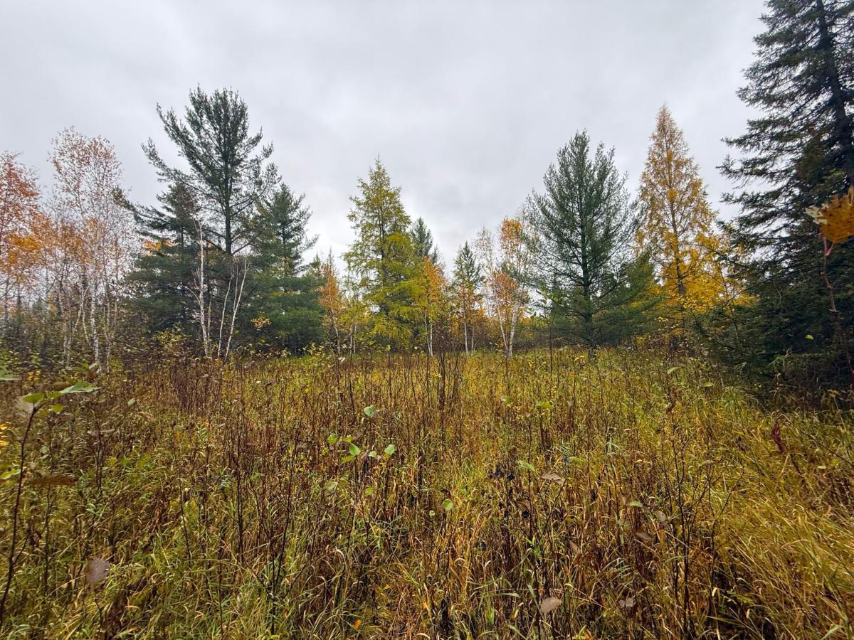 MLS #NST7161338 image #0