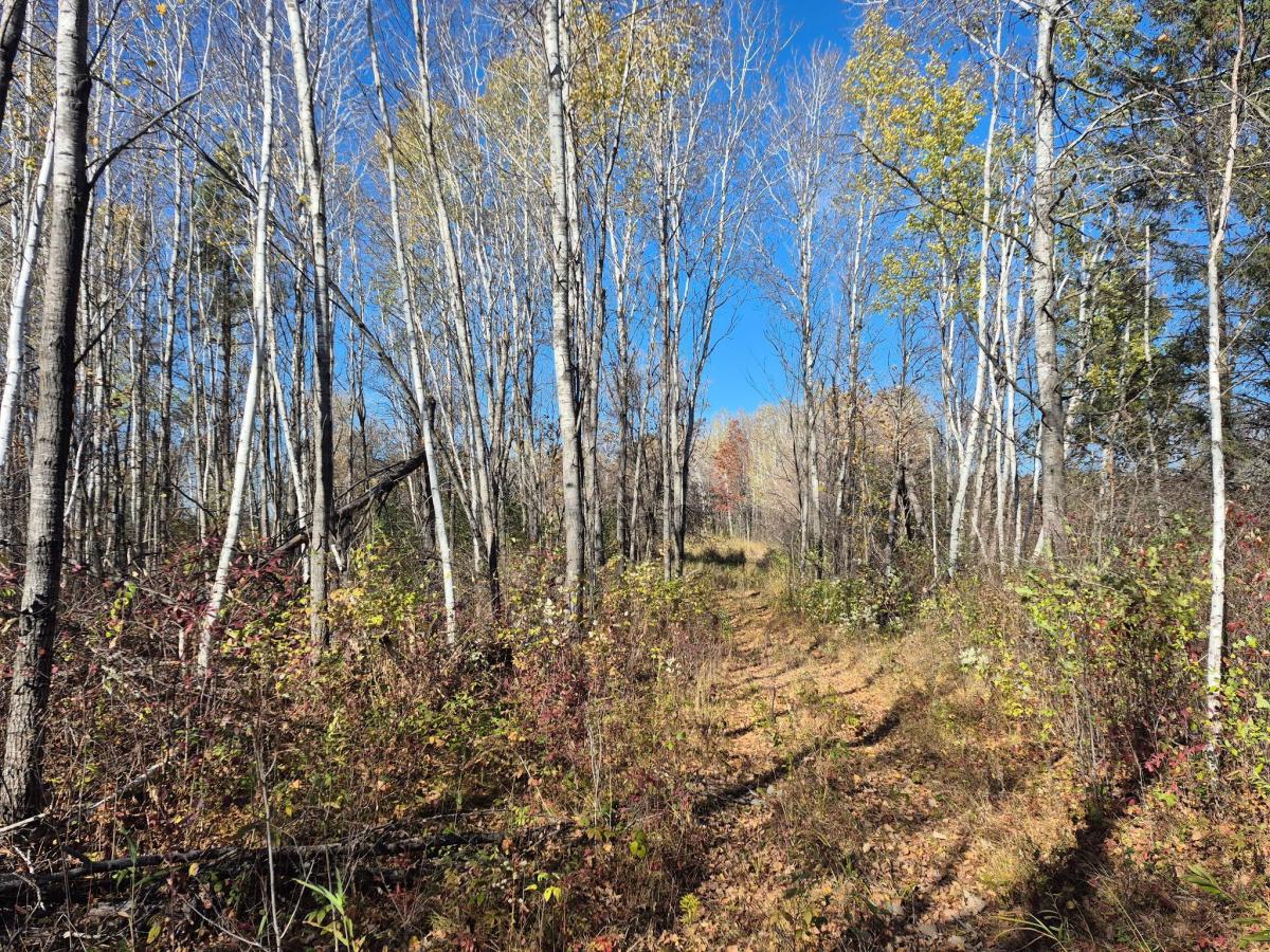 MLS #NST7164126 image #0