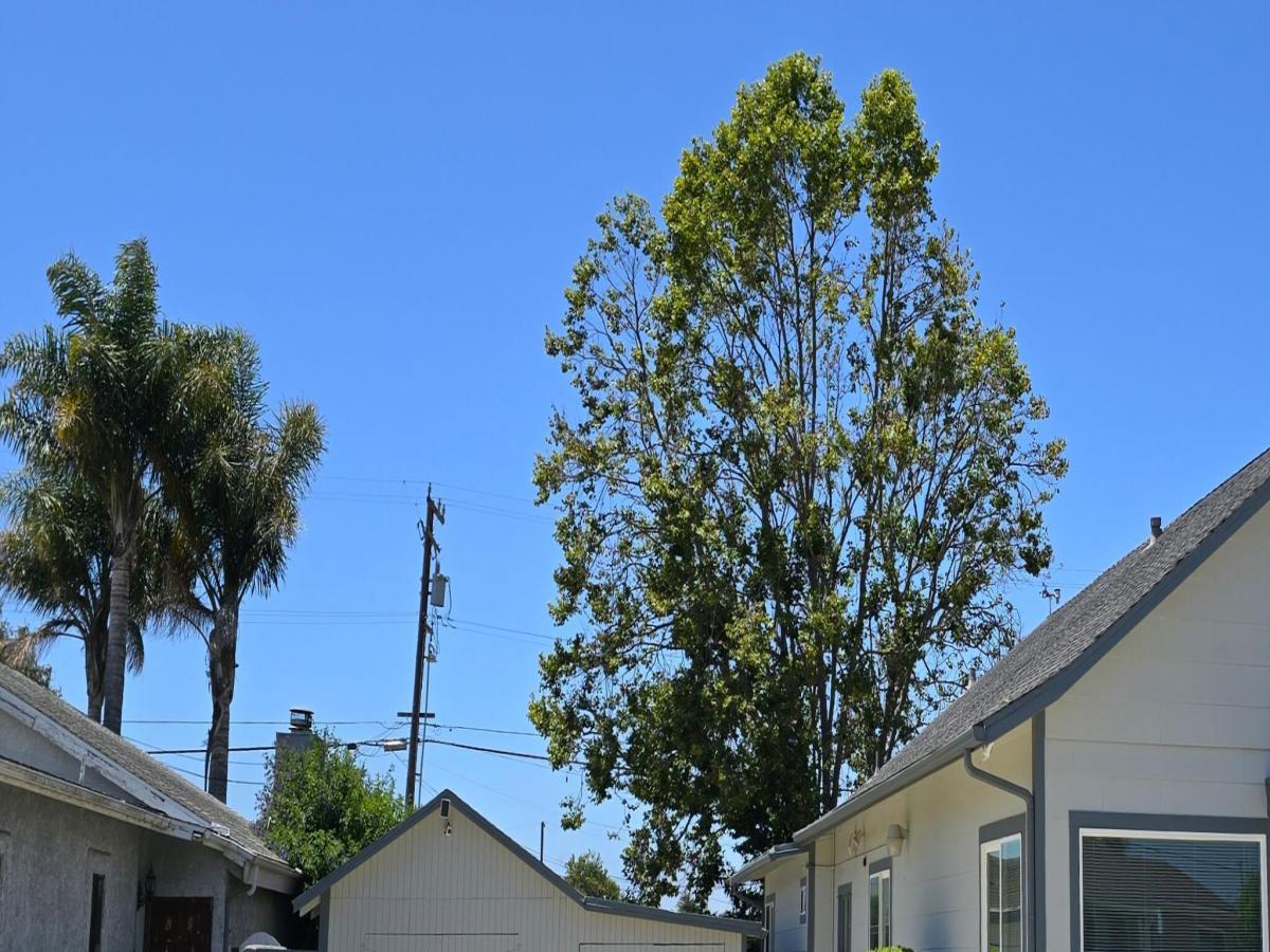 MLS #26001395 image #0
