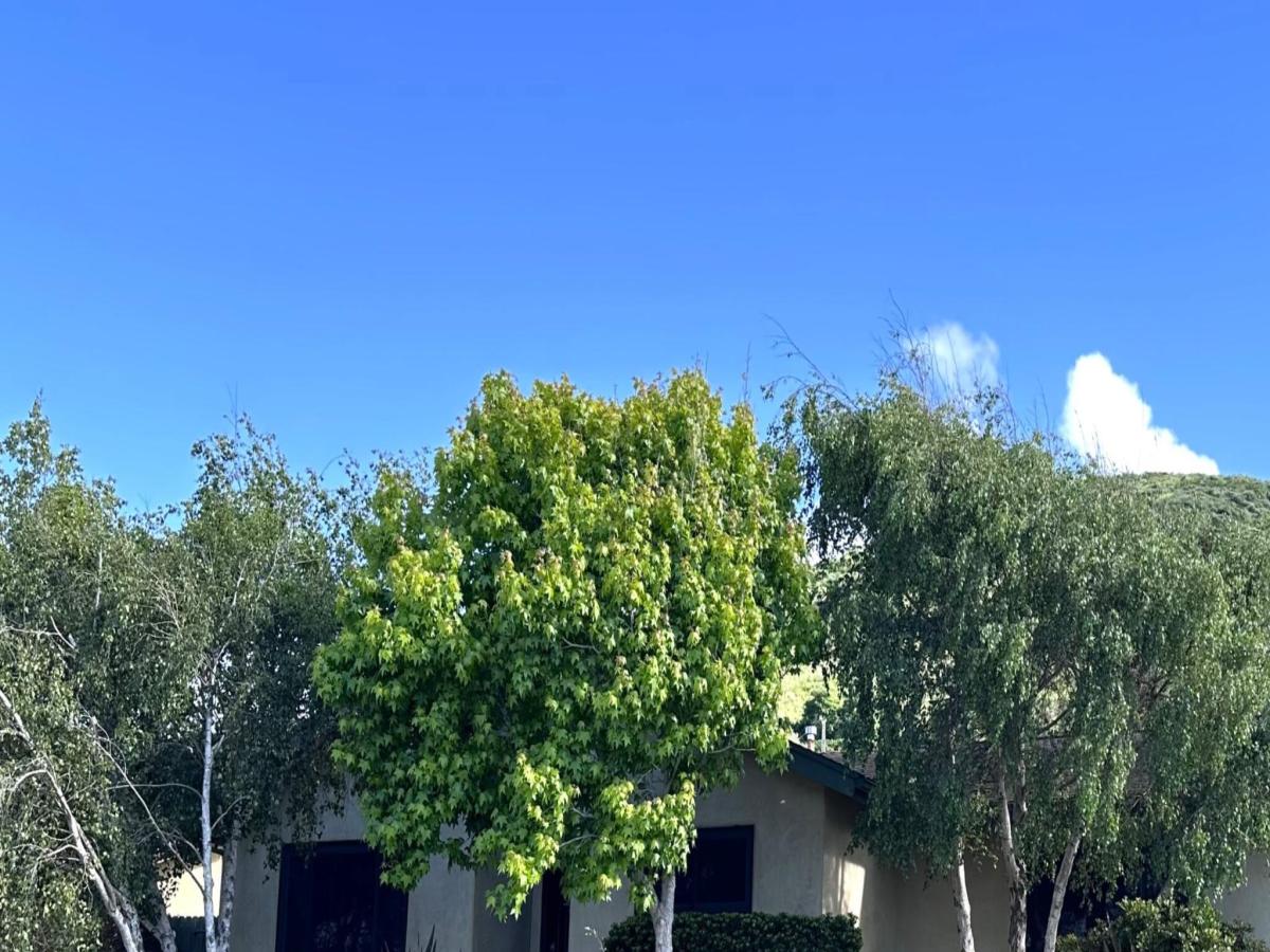 MLS #26001449 image #0