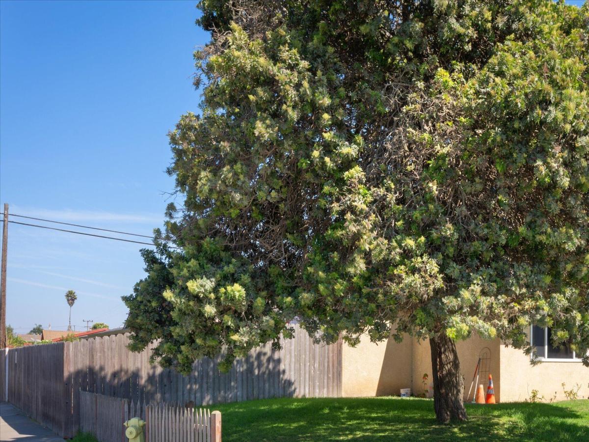 MLS #26001737 image #0