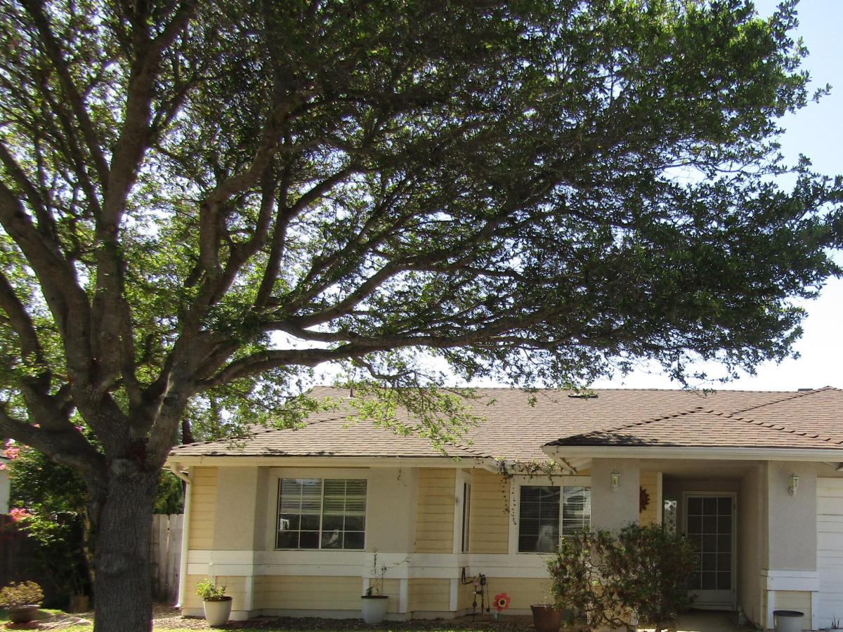 MLS #26001920 image #0