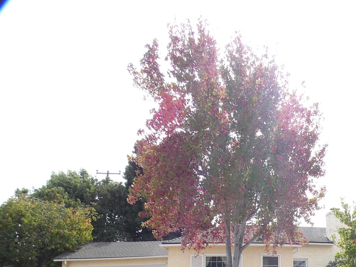 MLS #26002151 image #0