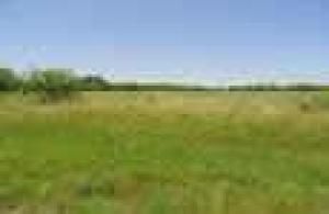 MLS #11480154 image #0