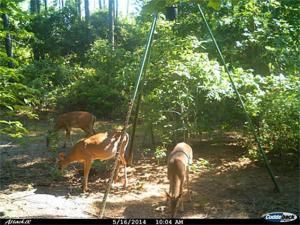 MLS #13880035 image #0