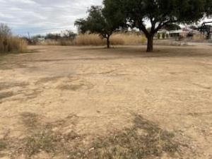 MLS #14316599 image #0