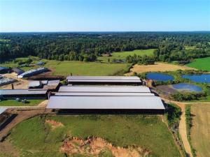 MLS #14456845 image #0