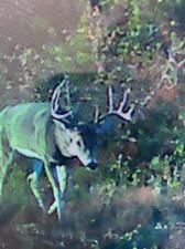 MLS #14723211 image #0