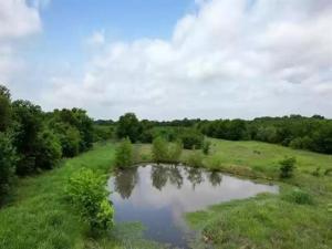 MLS #20188391 image #0