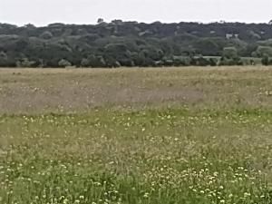 MLS #20316095 image #0