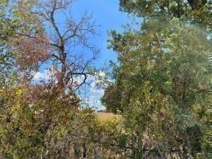 MLS #20418121 image #0