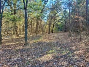 MLS #20510218 image #0