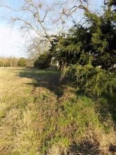 MLS #20545196 image #0