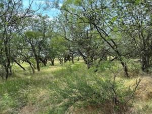 MLS #20550634 image #0