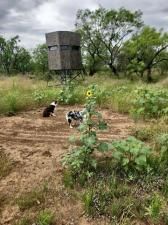 MLS #20557093 image #0