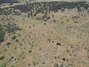 MLS #20640126 image #0