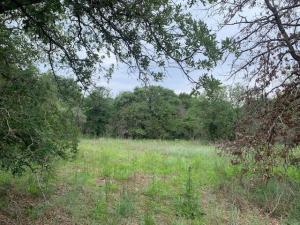 MLS #20641933 image #0