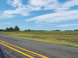 MLS #20649370 image #0
