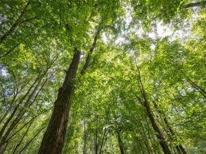 MLS #20707649 image #0