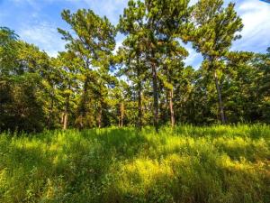 MLS #20707851 image #0