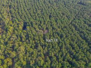 MLS #20708138 image #0
