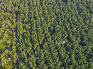 MLS #20708167 image #0