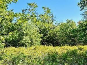 MLS #20714080 image #0
