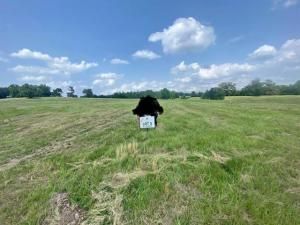 MLS #20718763 image #0