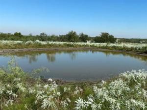 MLS #20728210 image #0