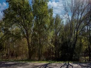 MLS #20772290 image #0