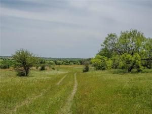 MLS #20774388 image #0