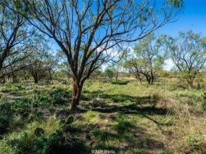 MLS #20787417 image #0