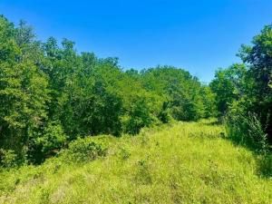 MLS #20793368 image #0