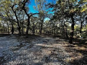 MLS #20794287 image #0