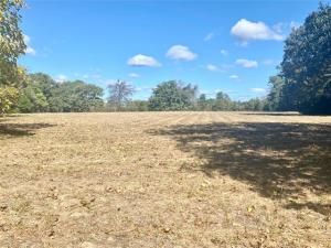 MLS #20804392 image #0