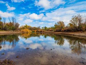 MLS #20809964 image #0