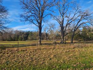 MLS #20815804 image #0