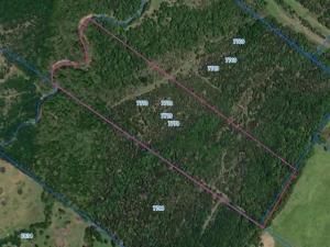 MLS #20817928 image #0