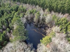 MLS #20818857 image #0